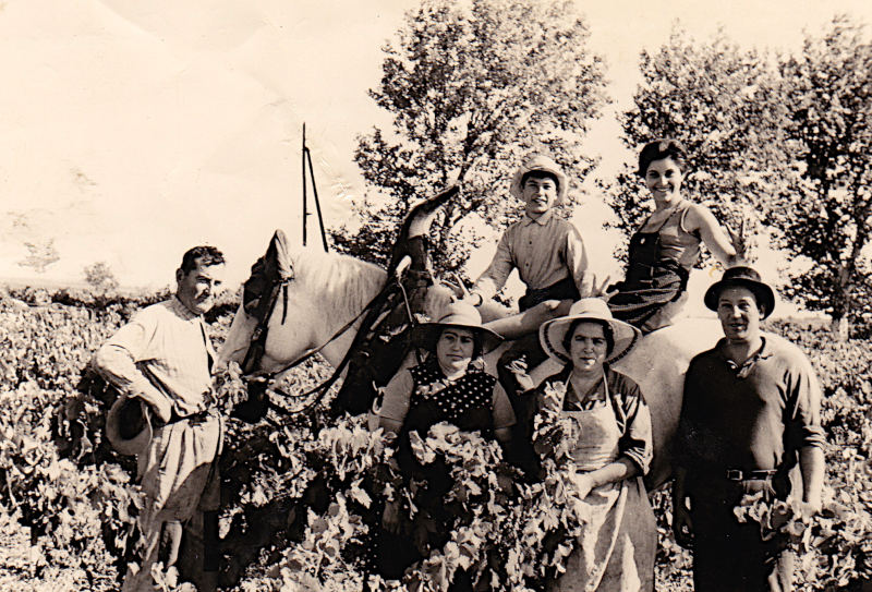 1967 : M. Guillermo, Mme Guillermo, Mme Garrigues, Nicole et Daniel Guillermo