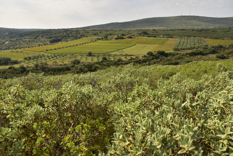 collines de la Moure