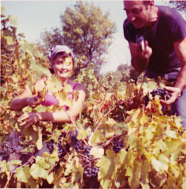 Vendanges 1972