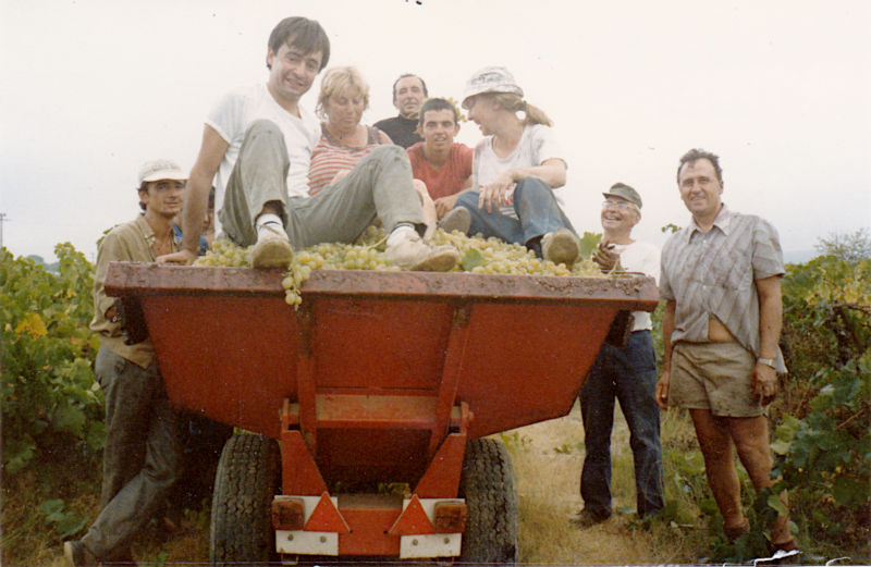 Vendanges 1985