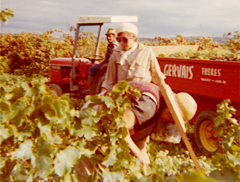 Vendanges1972